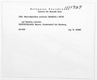 Image Associated With the Occurence